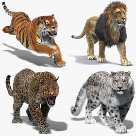 3D model Big Cats Animated (Fur)